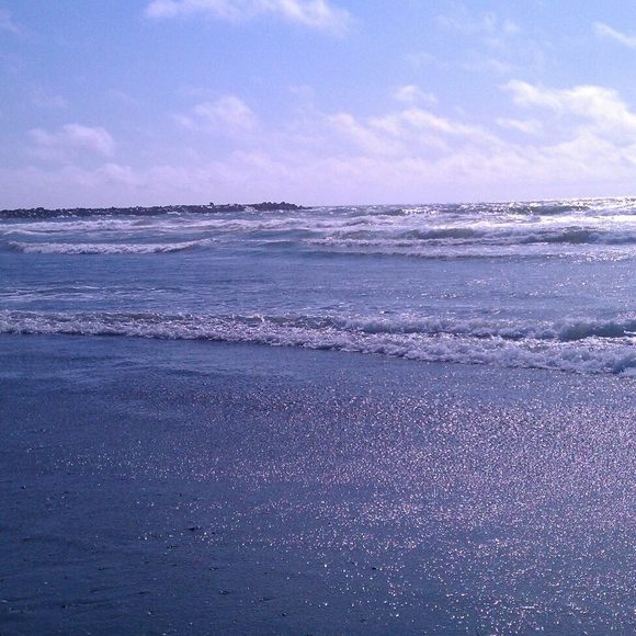 Meet your Posher, Penny - Picture 1 of 1